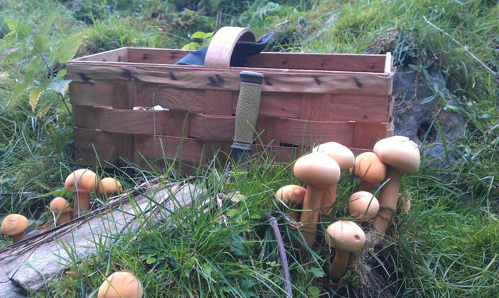 Valdres Naturlegvis Fagernes Esterno foto